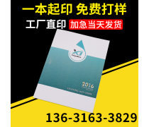 動漫設(shè)計(jì)宣傳畫冊 創(chuàng)意與視覺的完美融合